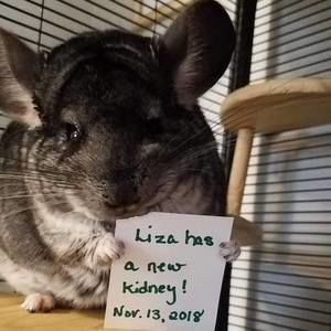 Meet your Posher, Betsy